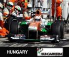 Пол ди Реста - Force India - Хунгароринг, 2013